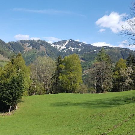 Kloiberhof Villa Oblarn Kültér fotó