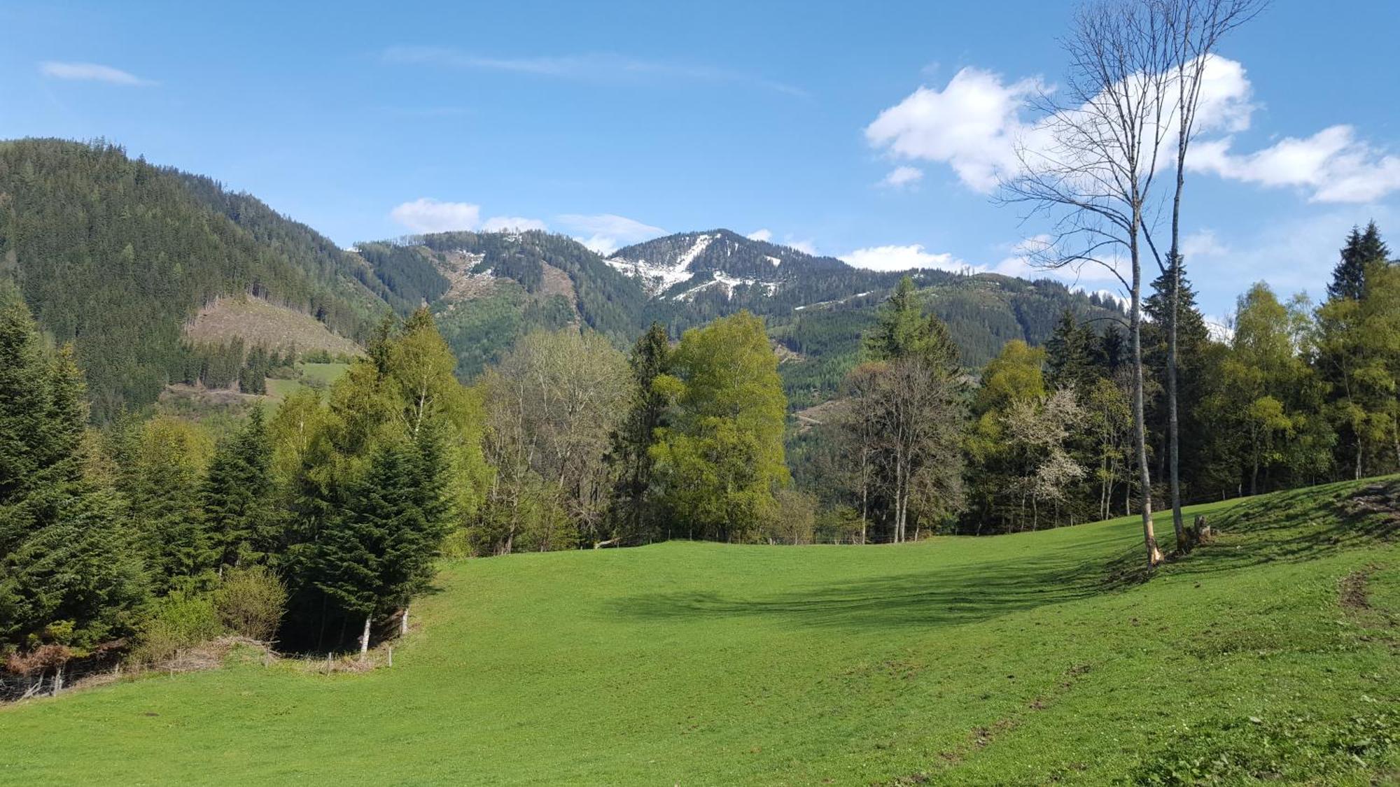 Kloiberhof Villa Oblarn Kültér fotó