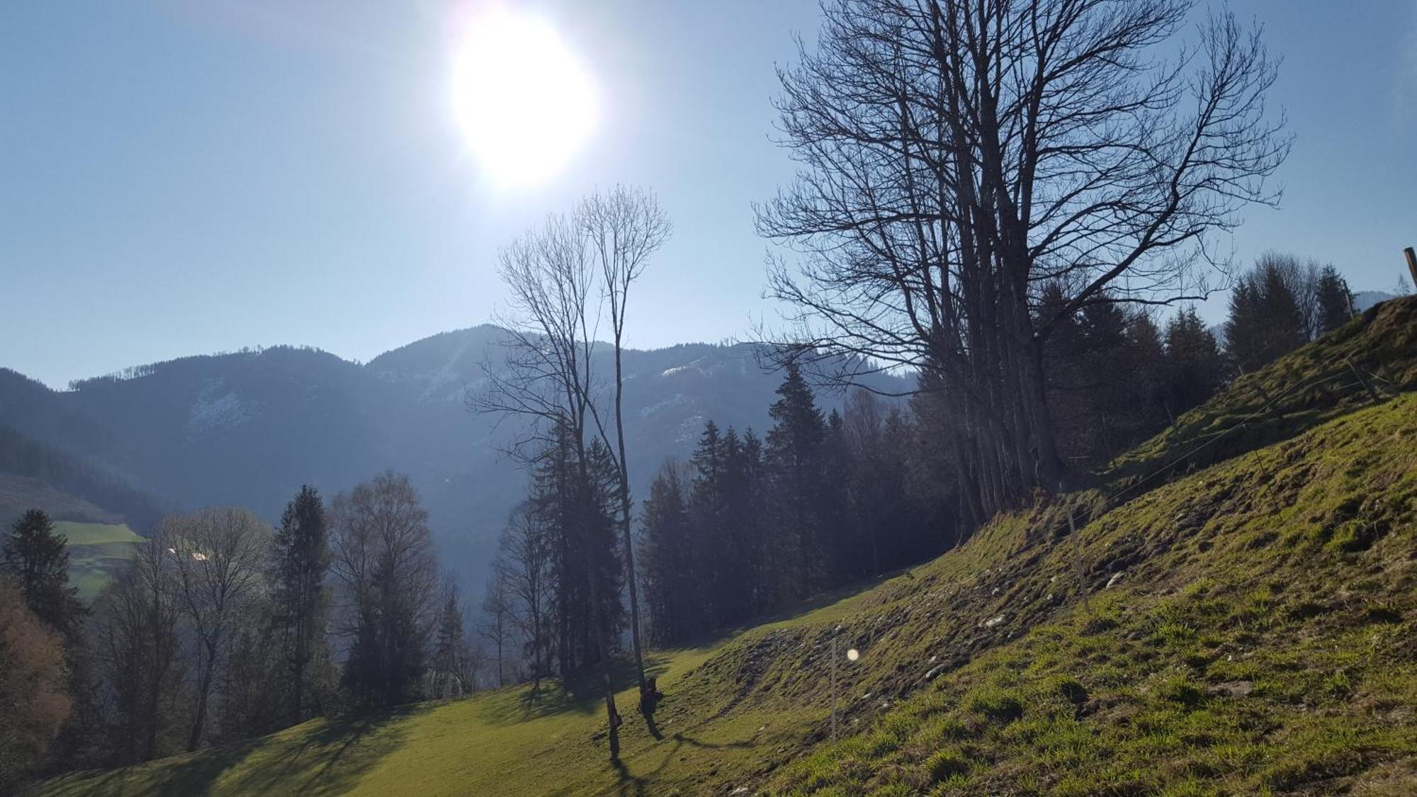 Kloiberhof Villa Oblarn Kültér fotó